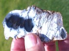 Beautiful Australian Dendritic Opal - 4-slabs, 2-end pieces - 1 lb. — photo 3