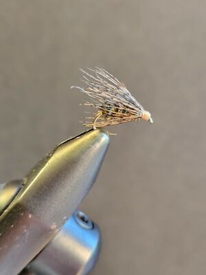 Soft Hackle Peacock Wet Fly Fishing Fly Flies, 1 Fly, You Choose Size