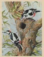 Woodpeckers Counted Cross Stitch CHART No. 2-510
