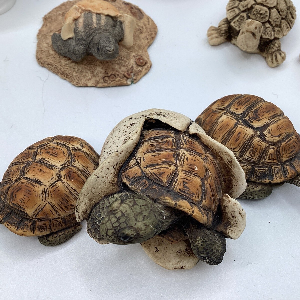 Turtle Collection Hatching 15pc Lot Tortoise Sea Ocean Baby