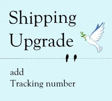 Shipping Upgrade to First Class Package with Tracking number