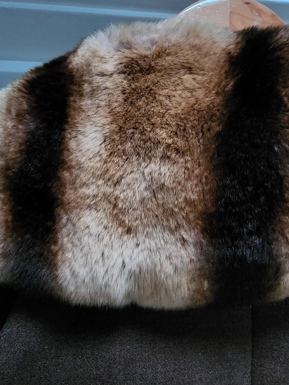 Picture 4 of 6