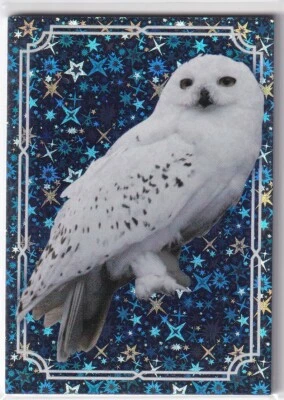 Panini Harry Potter Evolution Trading Cards Karte Nr. 154 Magical Creature
