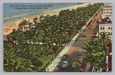 Ocean Drive & Lummus Park Looking South Miami Beach Vintage Linen Postcard  P23