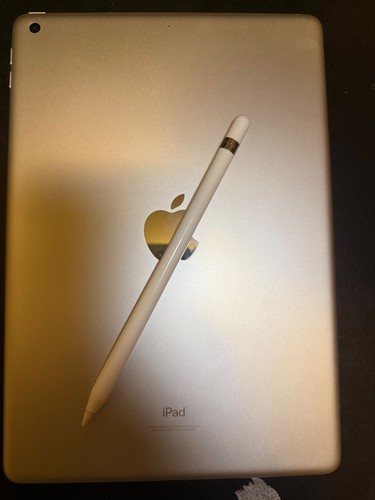 Apple Ipad 9th generation 64gb wifi with first generation Apple Pencil