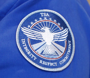 Federal Air Marshal Badge | eBay