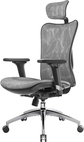 SIHOO M57 Ergonomic Office Chair Mesh Desk Chair with Adjustable Lumbar