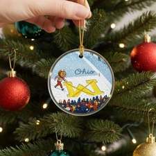 Ohio vs Michigan Ornament, Brutus Ohio State Snow Fan Football Acrylic