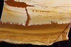 Owyhee Picture Jasper Slab - 6.4 Ozs - Lapidary - Crafts - Display — photo 9
