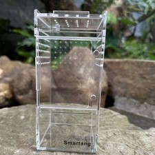 Jumping Spider Enclosure Clear Reptile Habitat for Tortoise Mantis Snake