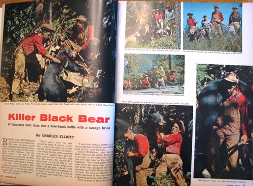 März 1962 Outdoor Life Magazin 176 Seiten - Killer Schwarzbär - Bild 4 von 5
