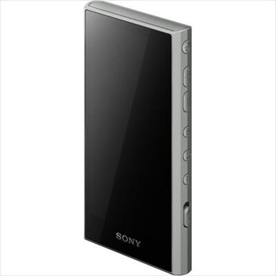 SONY WALKMAN NW-A307 Gray 64GB Hi-Res A300 Series Audio Player 