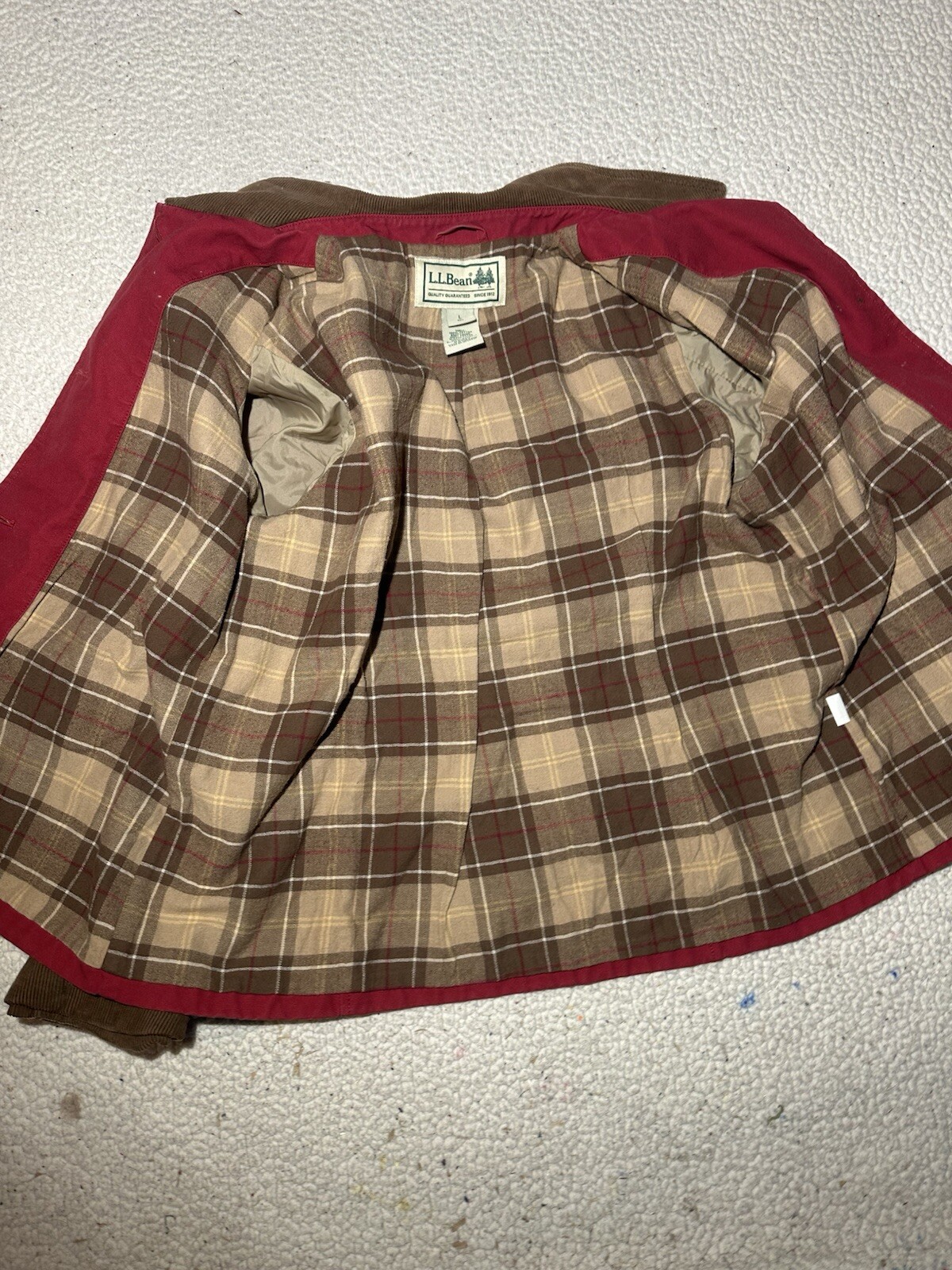 Picture 8 of 19