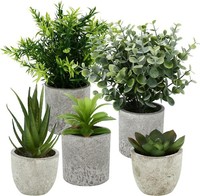 5 StüCk Kunstpflanze, Mini KüNstliche Pflanzen Schlangenzunge, Agave Sukkulente
