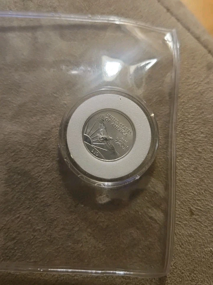 1999 PLATINUM AMERICAN EAGLE 1/10oz STATUE OF LIBERTY - Rare - Image 2 of 4