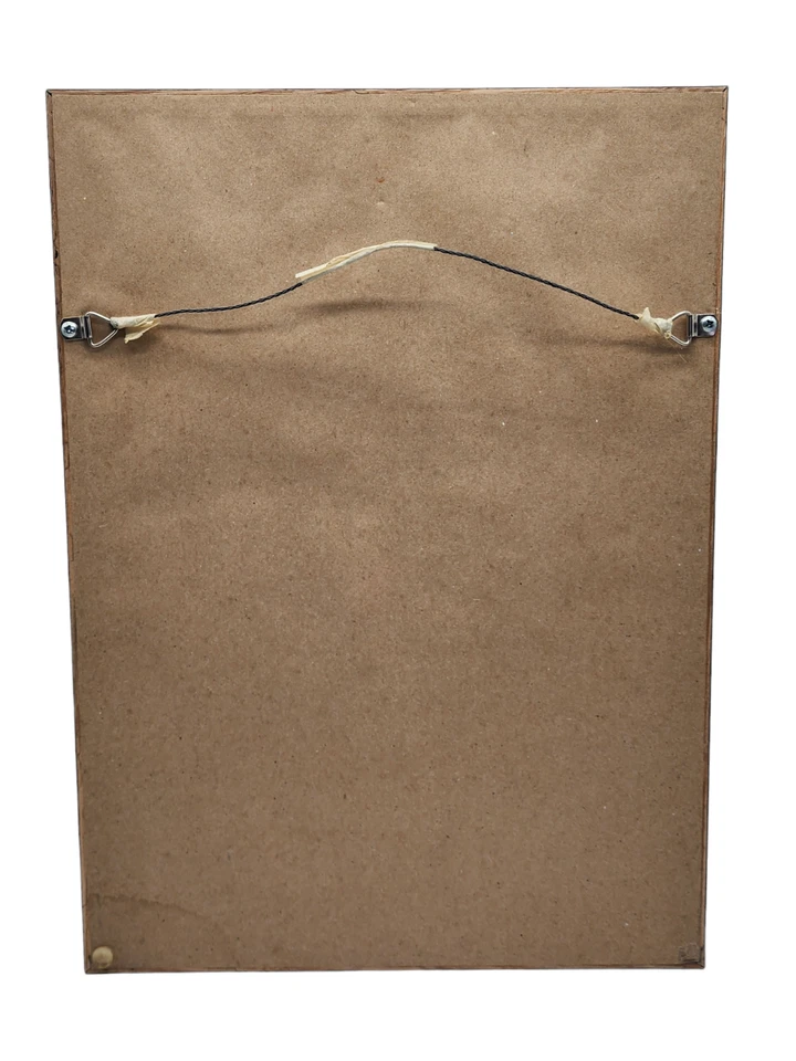 Juego de 6 prendedores enmarcados Disneyland aventura de crucero por la selva de fama mundial RARO Foto 3 de 3