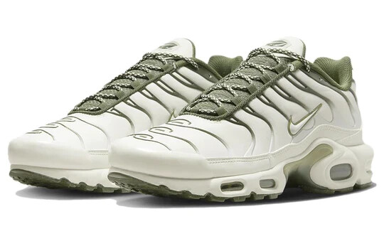 tn light bone