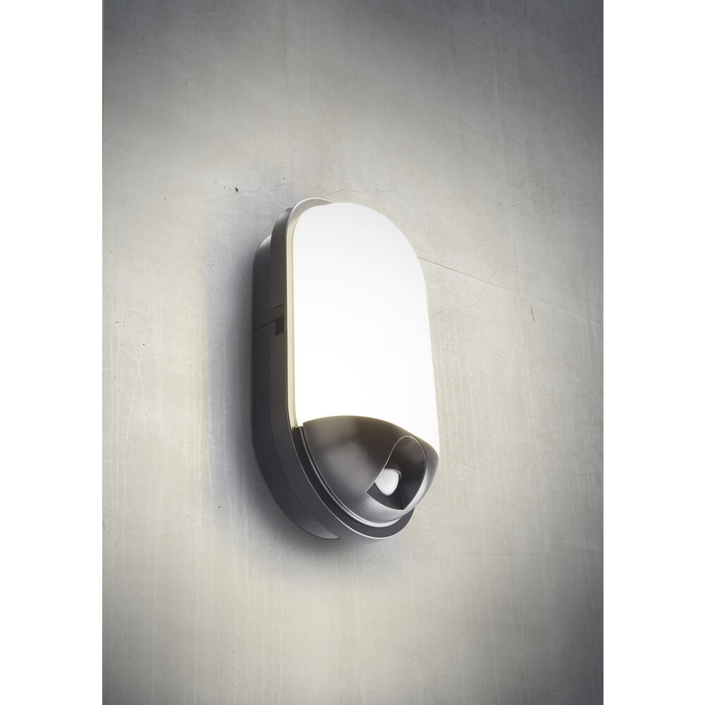 Светодиод Heitronic TOLEDO 500648 LED-отличный инструмент для проведения ежегодного фестиваля светодиодов...