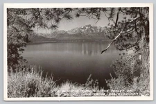 A Glimpse Through The Forest Of Tallac Lake Tahoe Calif Nevada RPPC Postcard