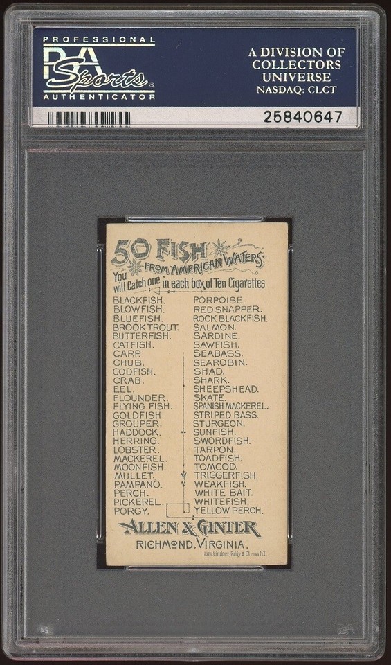 BUTTERFISH 1888 N8 Allen & Ginter 50 Fish From American Waters PSA 5 EX