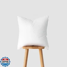 Hofdeco Premium Throw Pillow Insert, 20"x20" (for Cover Size 18"x18") Water R