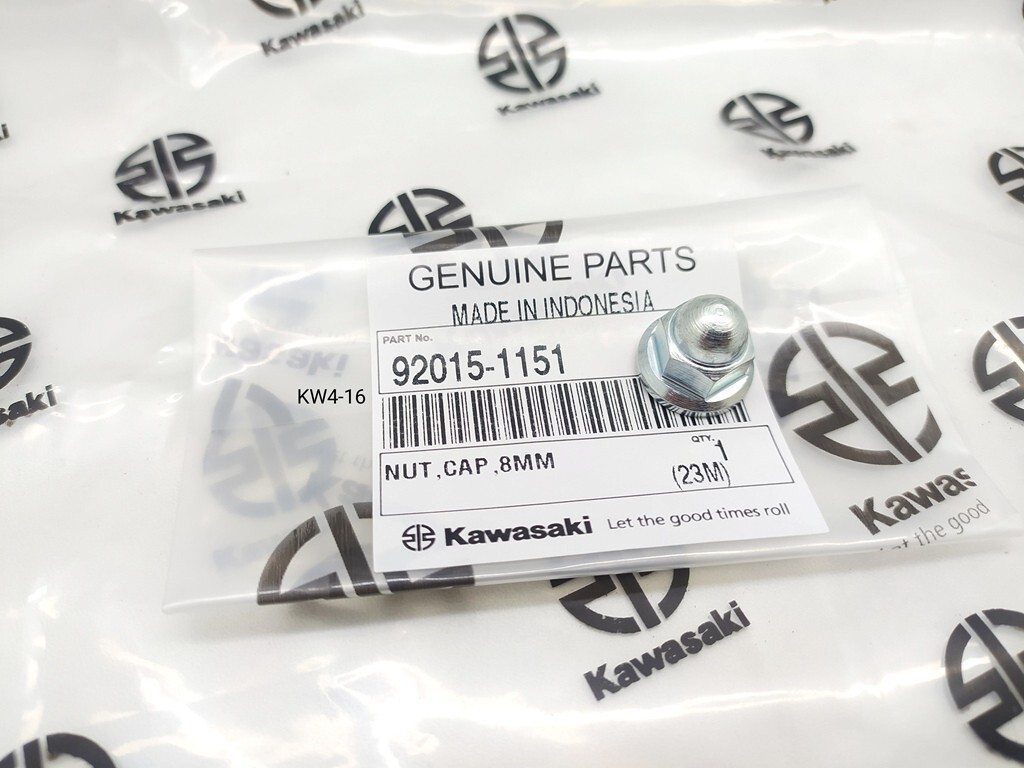 Kawasaki KX ZX AN110 KLX KLR Versys Cap Nut 8mm Cylinder