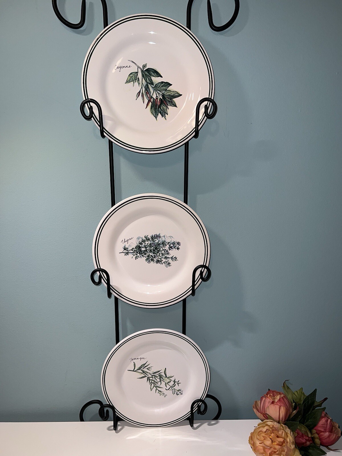 New Williams Sonoma Culinary Herb Spices 8.5” Salad Plates Set of 3