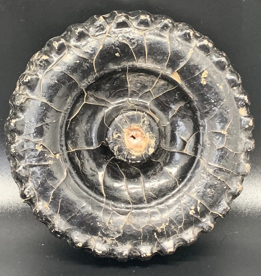 "Antiguos neumáticos de tractor de juguete compuesto de madera 4"" pintados a mano" Foto 4 de 4