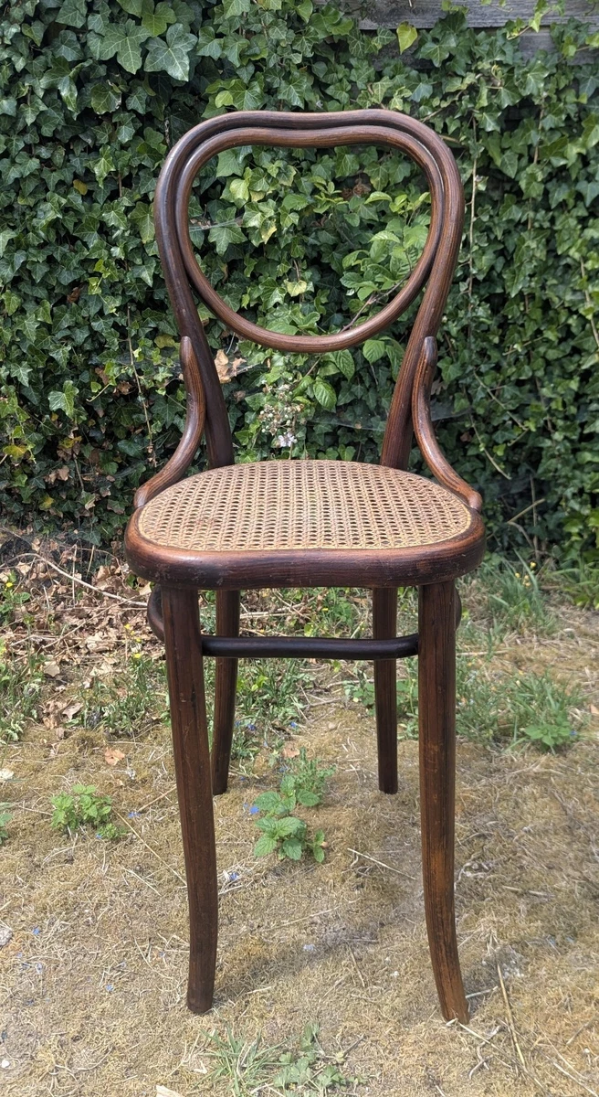 BISCOTTINI - Chaise Thonet en frêne massif et siège en rotin, finition
