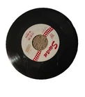 Die Liebt Dich (She loves you)   by the Die Beatles  Rare Swan