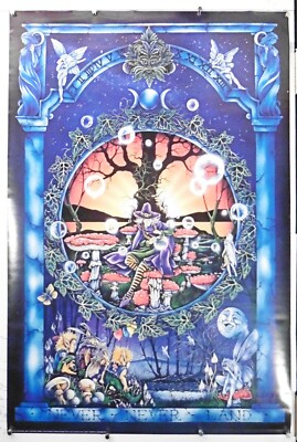 Never Never Land 24.25'' X 36.50'' artist Peter Pracownk rare poster NOS (b627)