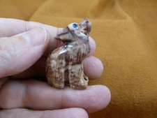 (Y-COY-18) gray red COYOTE wolf wild dog carving SOAPSTONE stone PERU FIGURINE