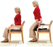 Carex Chair Lift And Sofa Stand Assist Portable Up easy Seat Assist Plus