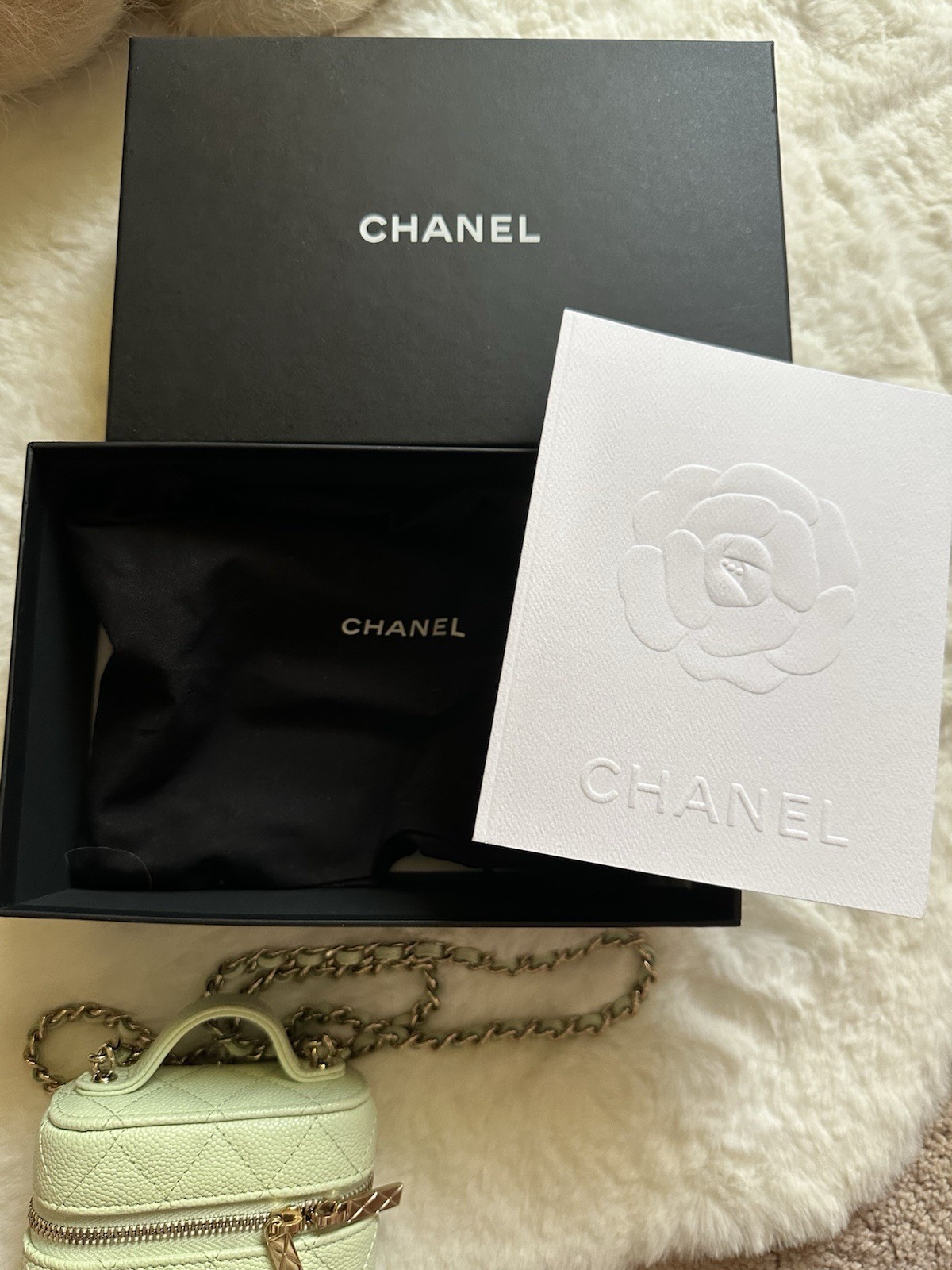 CHANEL Caviar Quilted Small Handle With Care Vanity Case w/Chain Light Green 22C image 8