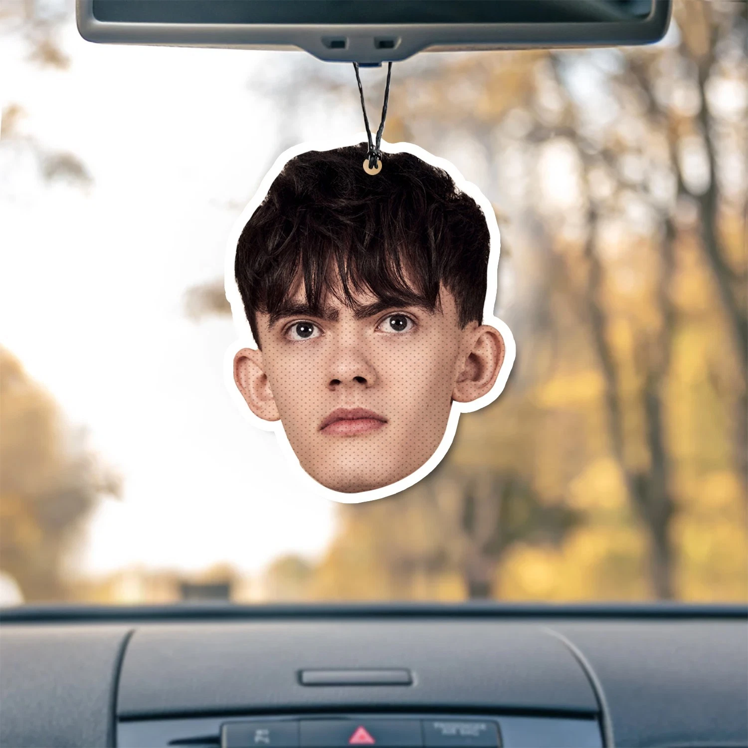 Joe Locke Unscented Hanging Car Air Freshener Freshie