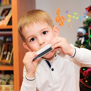 Diatonic Harmonica in C, 10 Holes