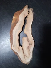 S-1835  Thin Maple Burl Slab  12"x3-5"x38"