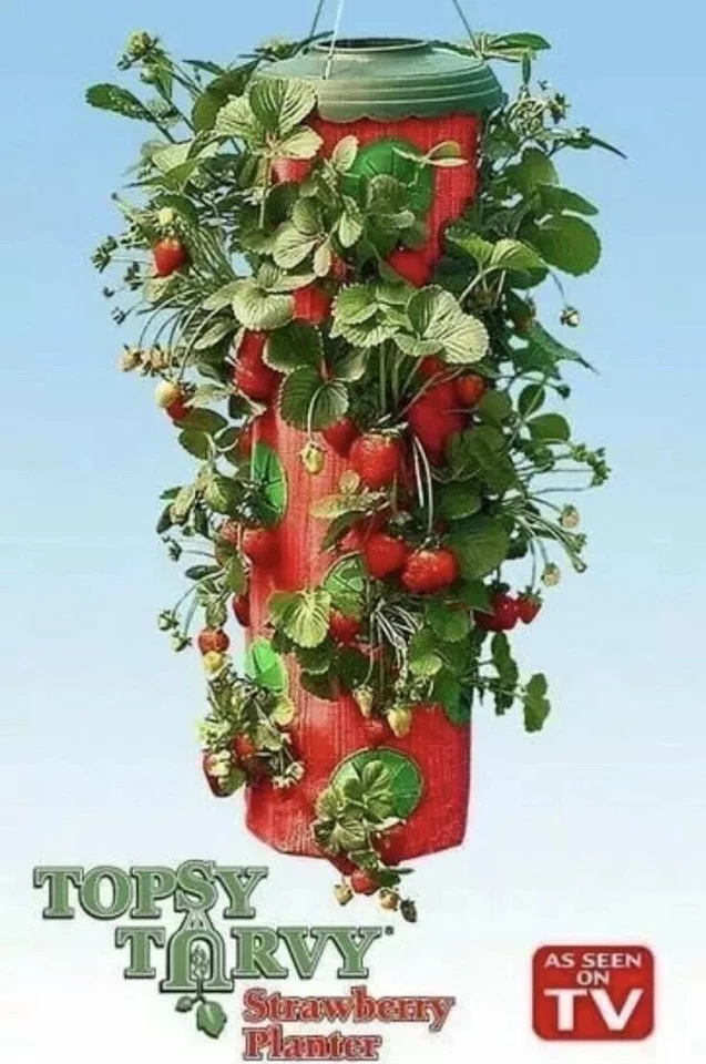 Maceta colgante Topsy Turvy FRESA parte superior giratoria invertida - Paquete de 3 Foto 2 de 2