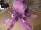 Bild 8 von 10