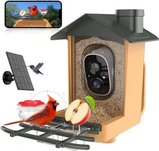 Solar Species Bird Identify HD Powered 2K with IP65 Video Water Camera AI Feeder