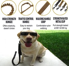 Outdoor Bungee Dog Leash Any Size Police Training Heavy Duty Metal Buckle