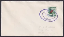 JAMAICA: (20925) SOHO cover/TRD cancel