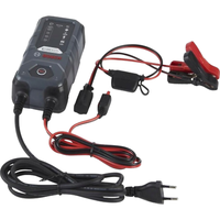 Bosch C30 Elektronisches LadegeräT 6V/12V BatterieladegeräT PKW Moped 1,2-120Ah