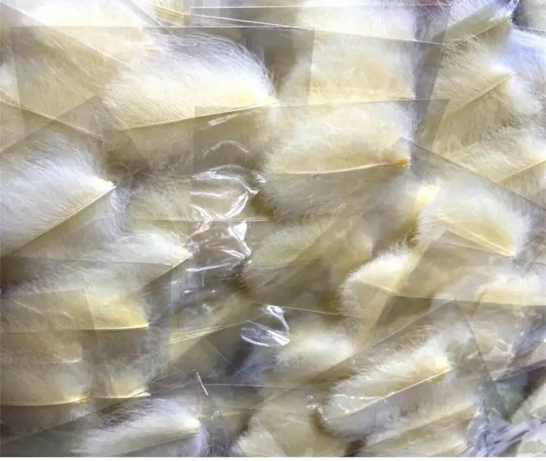 100Packs】Mallard1 CDC Feathers Canary 50 plumes Fly Fishing 100Packs】Mallard1 CDC Feathers Canary 50 plumes Fly Fishing
