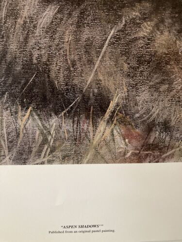 Maija - Aspen Shadows - S/N limited edition print - Mint - Picture 3 of 7
