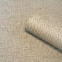 Beige Tapete Grasgewebe Texturiert Vinyl Flur Lounge Schlafzimmer Belgravia 2346