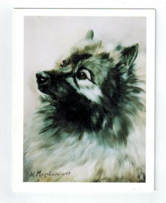 New Keeshond Pet Dog Head Study Notecard Set - 12 Note Cards By Ruth Maystead