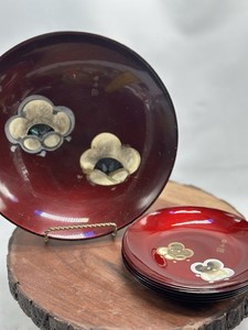 Asian Lacquerware Bamboo Plates Florals 7 Pc Set Sushi Snacks Kanji