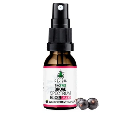 CBD OIL OUTLET CBD Oil SPRAY, Blackcurrant, 500mg, THC-Free, 30ml. Sleep, Anxiety, Mobility.