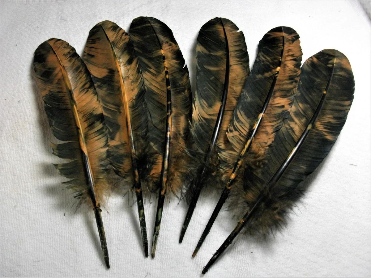 6 TURKEY FEATHERS HAND PAINTED TO RESEMBLE GOLDEN EAGLE FEATHERS